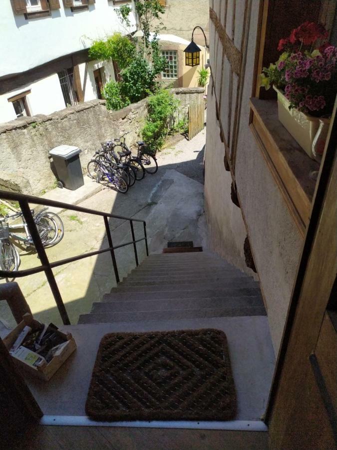 La Grande Terrine - Gites Les Potiers Kaysersberg-Vignoble Dış mekan fotoğraf