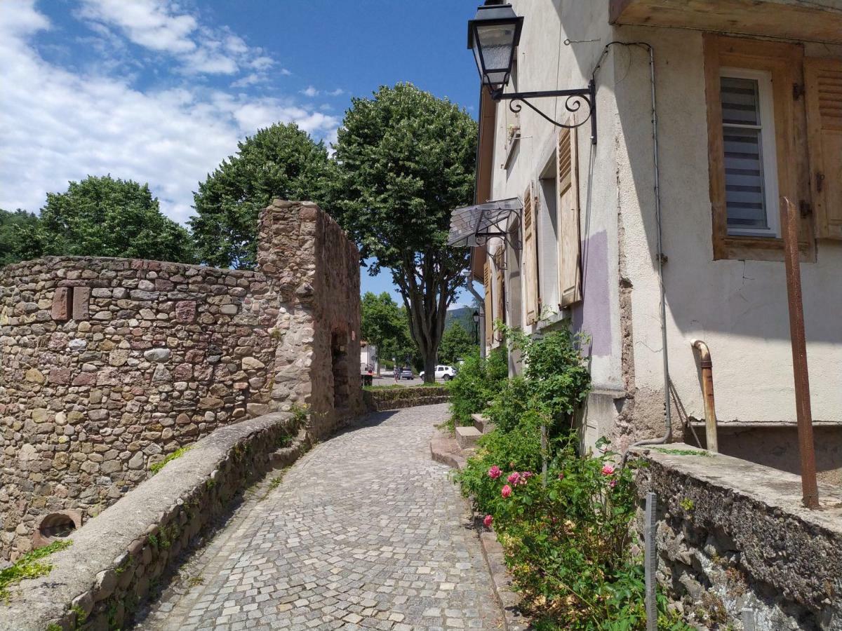 La Grande Terrine - Gites Les Potiers Kaysersberg-Vignoble Dış mekan fotoğraf