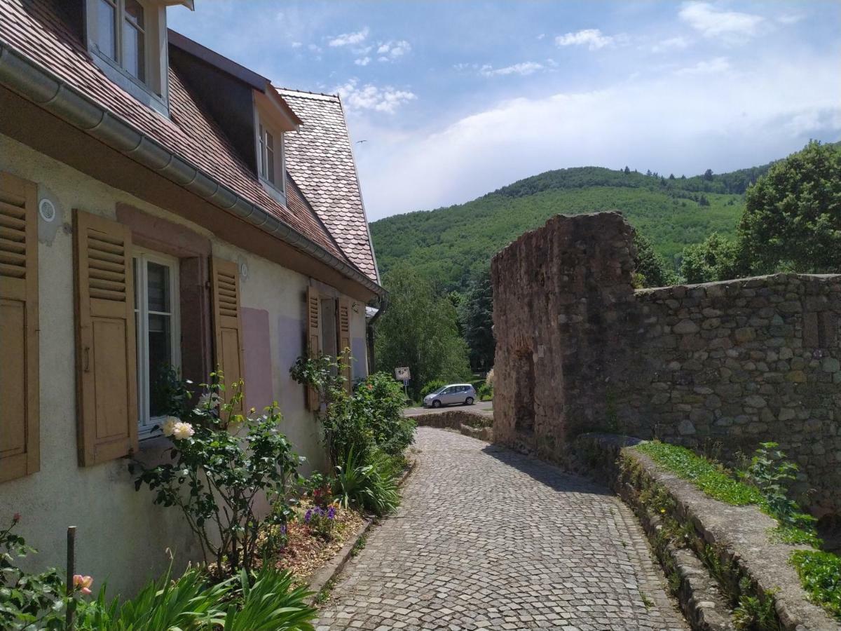 La Grande Terrine - Gites Les Potiers Kaysersberg-Vignoble Dış mekan fotoğraf