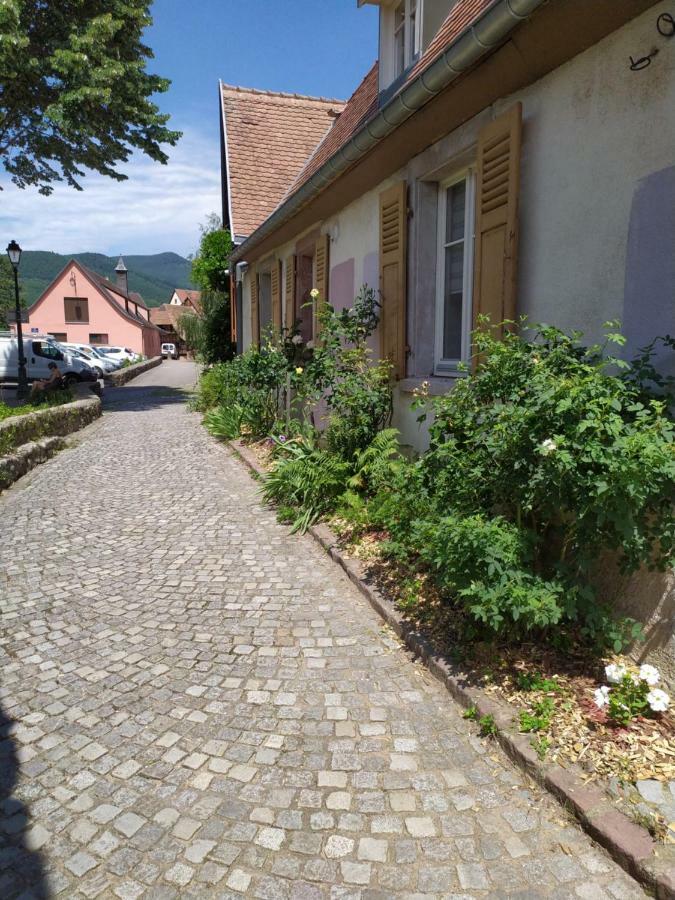 La Grande Terrine - Gites Les Potiers Kaysersberg-Vignoble Dış mekan fotoğraf
